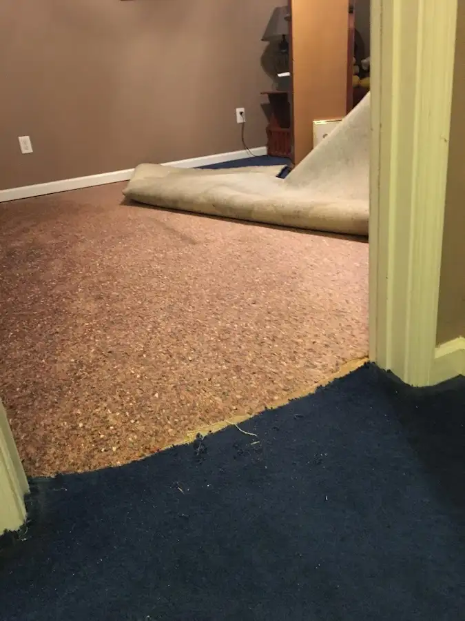 Carpet pad removal revealing water damage during Drying & Dehumidification in Bluffton
